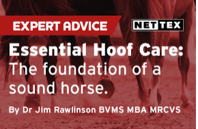 ESSENTIAL HOOF CARE: THE FOUNDATION OF A SOUND HORSE